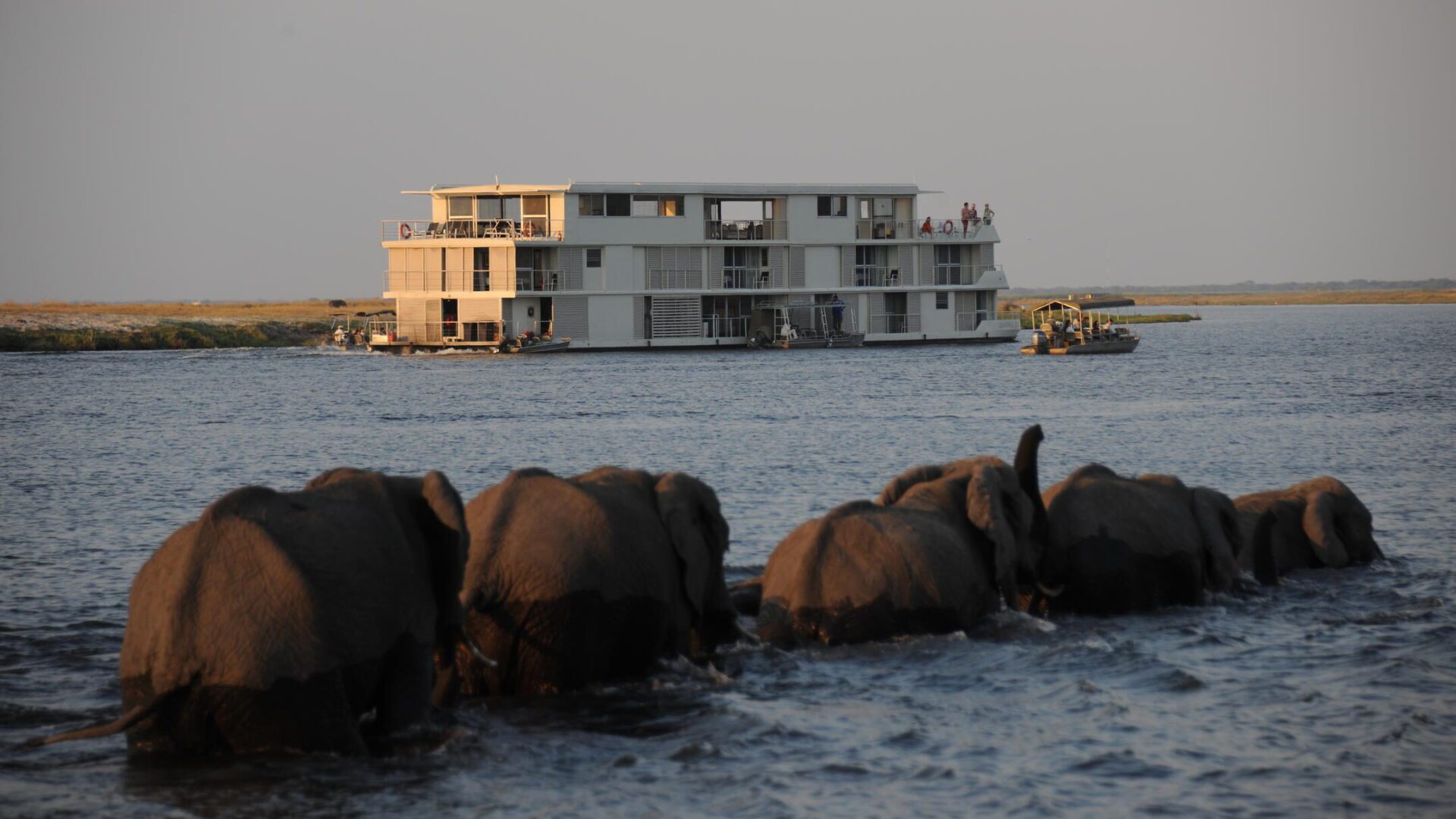 african river safari