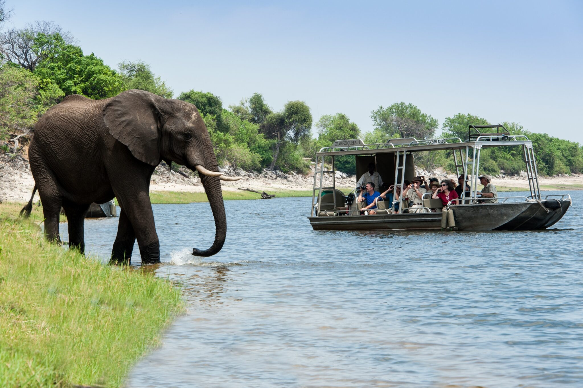 african river safari